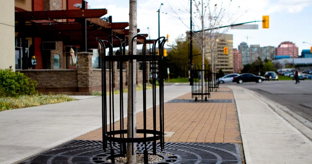 Black metal tree guards installed along a city sidewalk